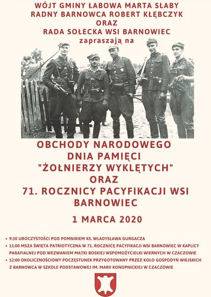 Żołnierz zawodowy a radny